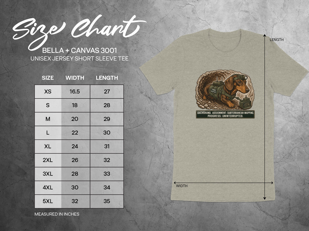 Bella + Canvas 3001 size chart with dachshund graphic on t-shirt.