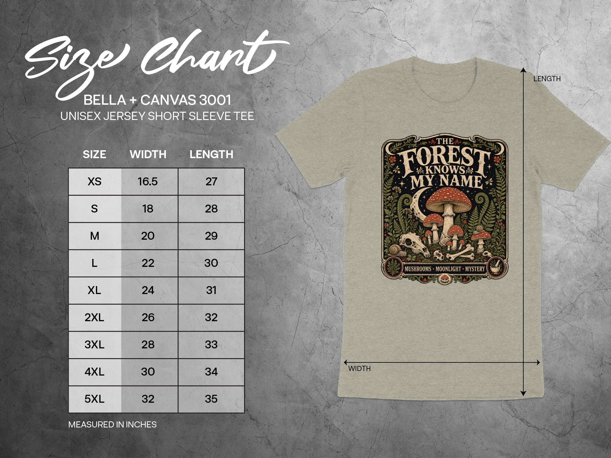 Bella + Canvas 3001 size chart with width and length measurements in inches.