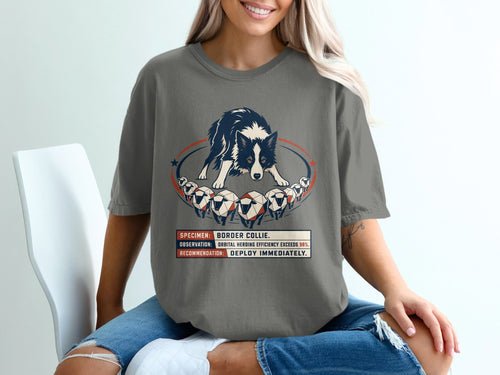 Border Collie graphic with text about herding efficiency and deployment.