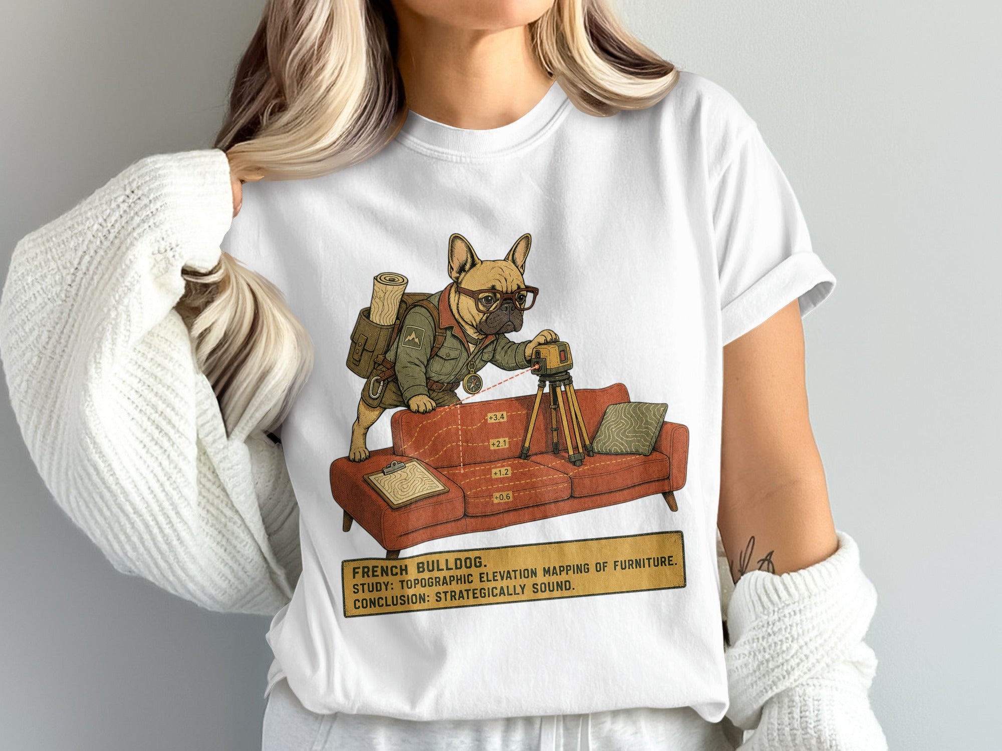 French Bulldog topographic mapping of furniture with elevation labels.