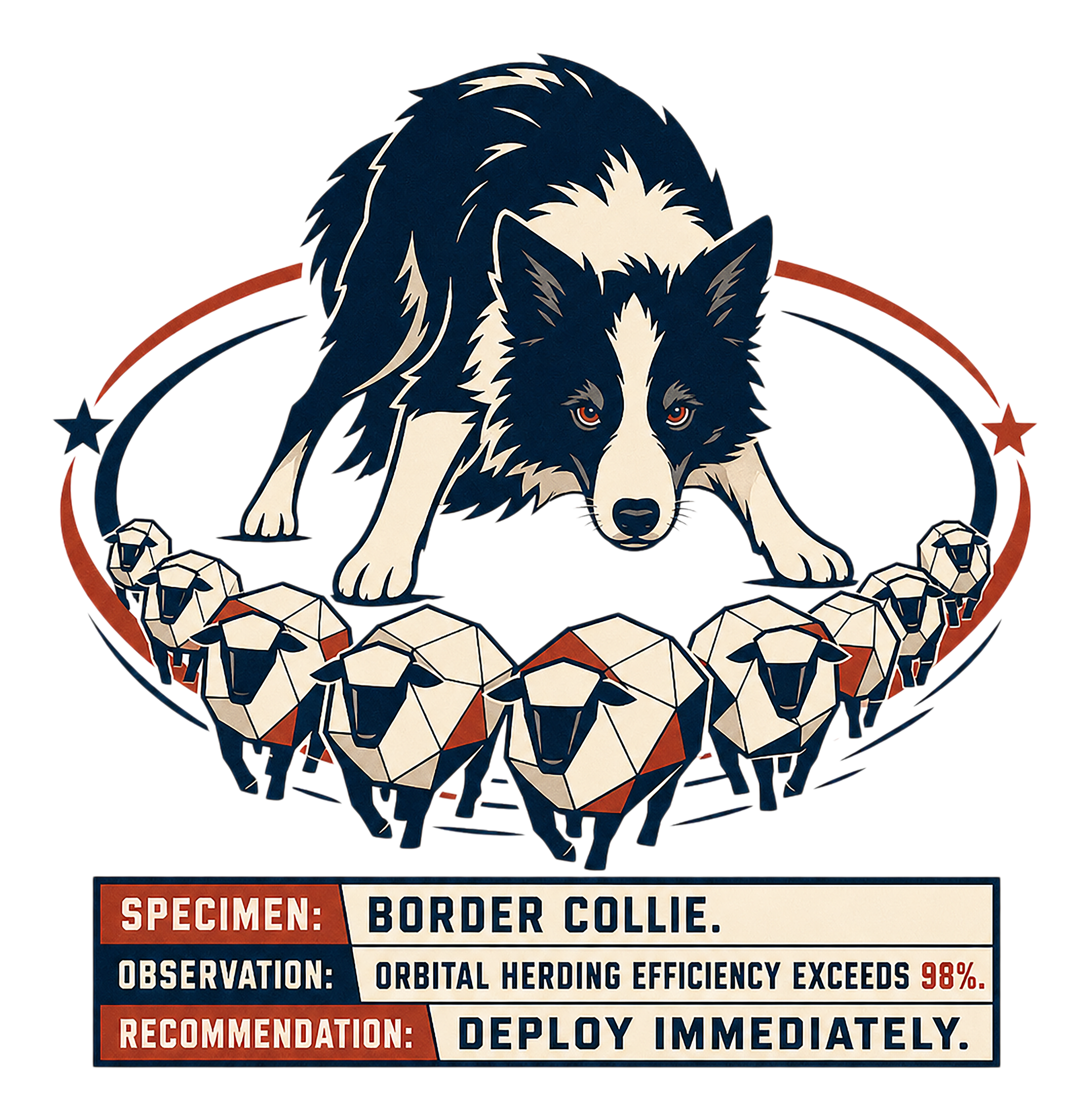 Border collie herding geometric sheep, with specimen, observation, and recommendation text.