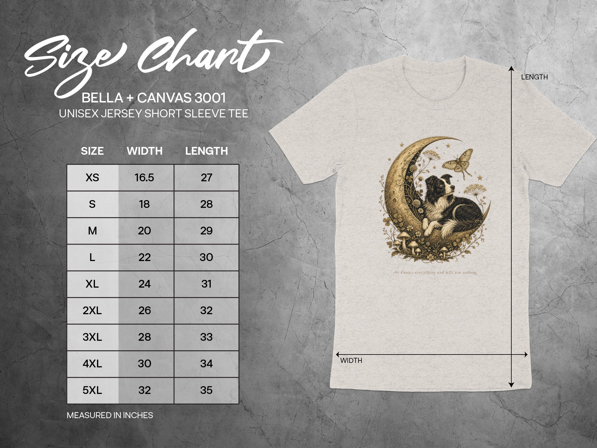 BELLA + CANVAS 3001 unisex jersey size chart with dog, moon, and butterfly graphic.
