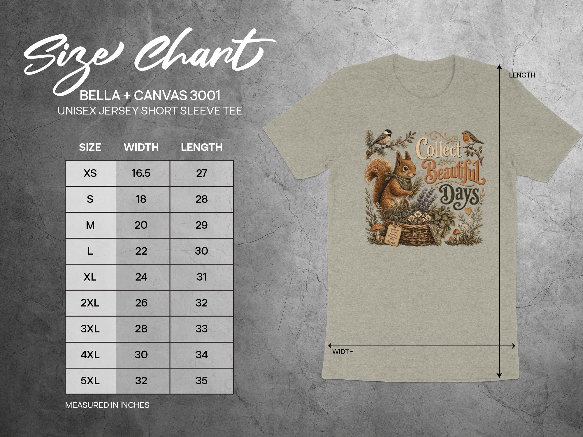 Bella + Canvas 3001 size chart for unisex jersey short sleeve tee in inches.