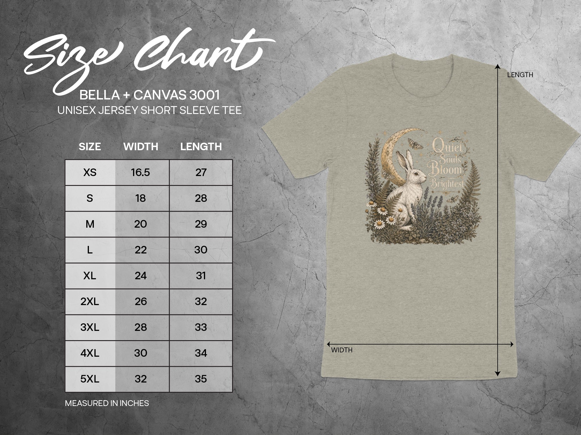 BELLA + CANVAS 3001 unisex tee size chart with width and length in inches.