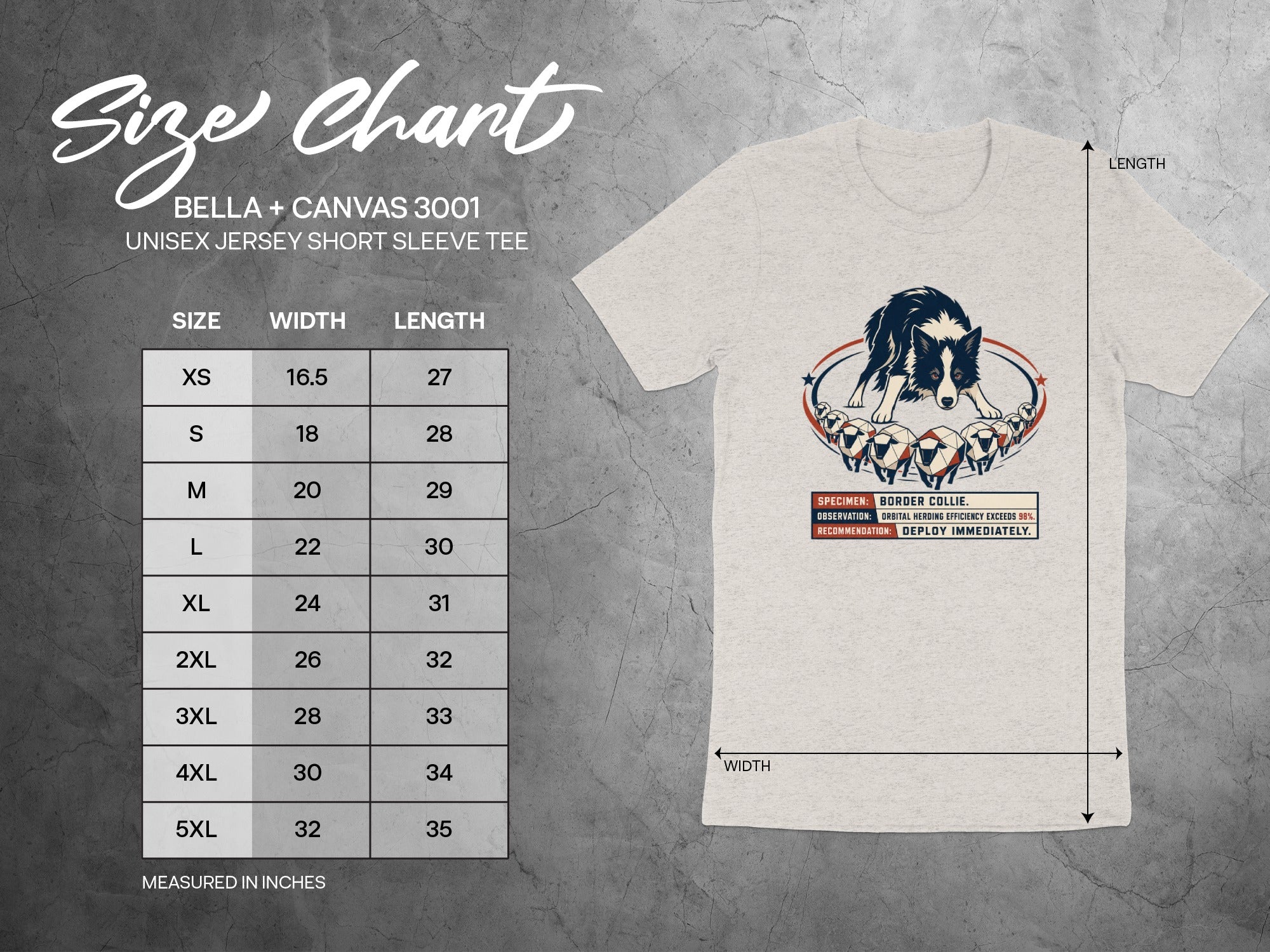 Bella + Canvas 3001 unisex tee size chart with Border Collie graphic.