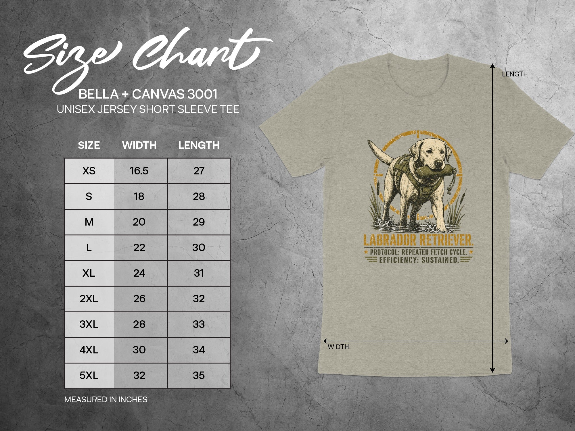 Bella + Canvas 3001 unisex tee size chart with "Labrador Retriever" graphic.