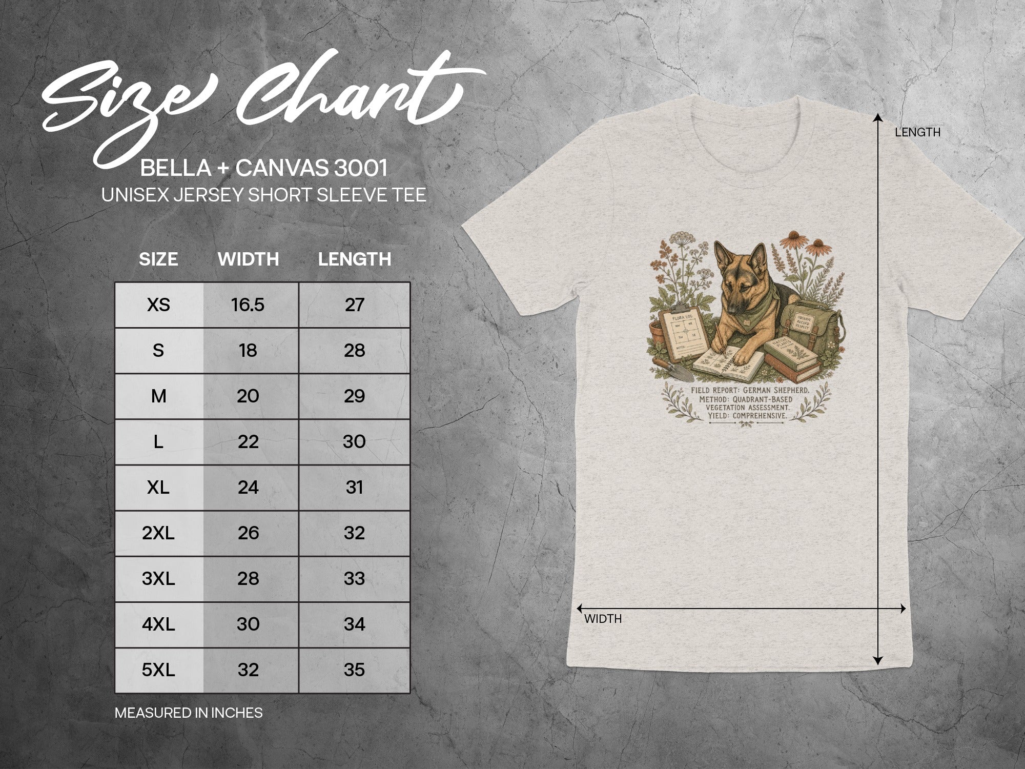Size chart and diagram for a BELLA + CANVAS 3001 unisex short sleeve tee.