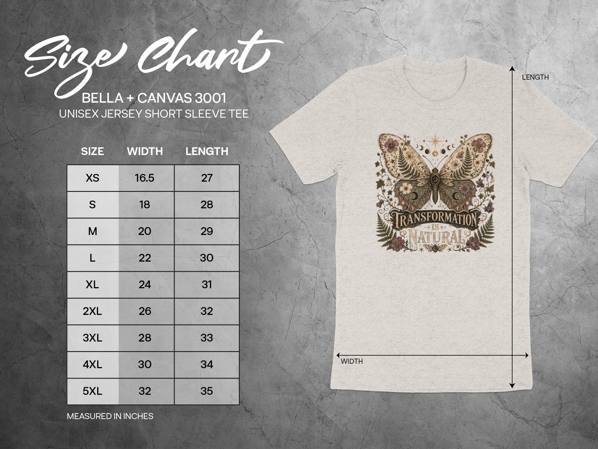BELLA + CANVAS 3001 size chart showing width and length measurements for t-shirts.
