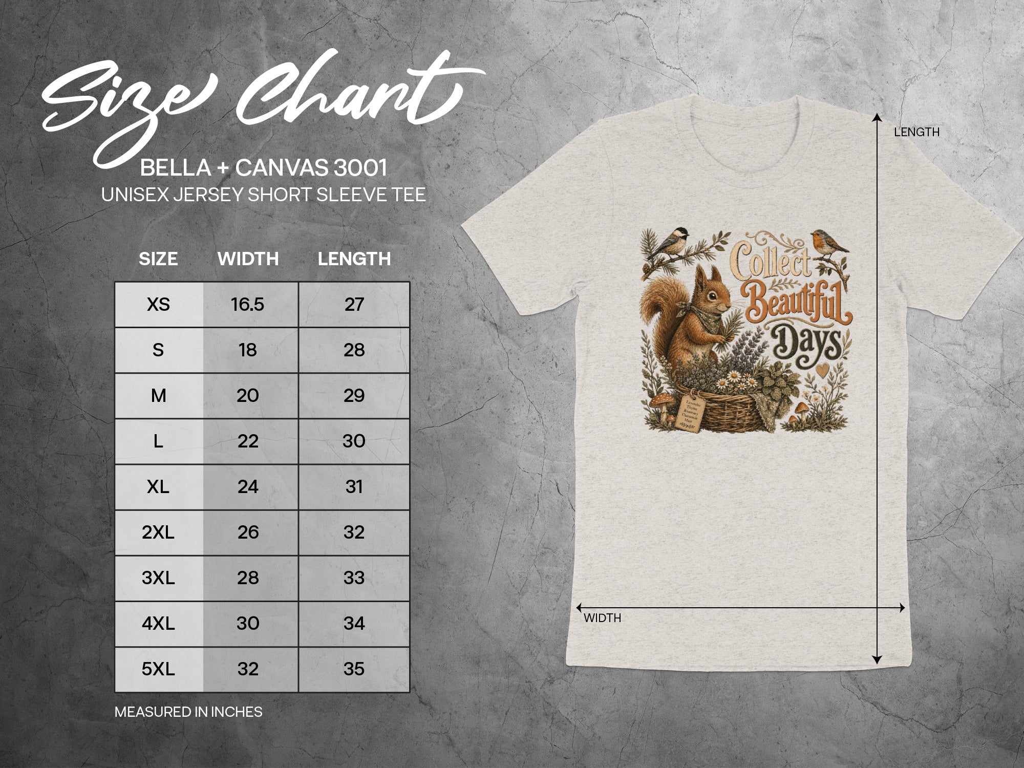 BELLA + CANVAS 3001 unisex tee size chart with graphic of squirrel and "Collect Beautiful Days".