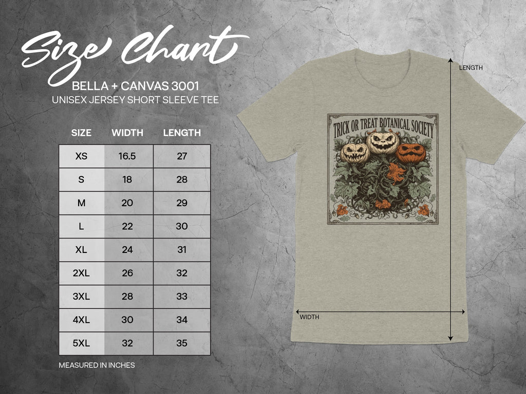 Bella + Canvas 3001 size chart for unisex jersey short sleeve tee.