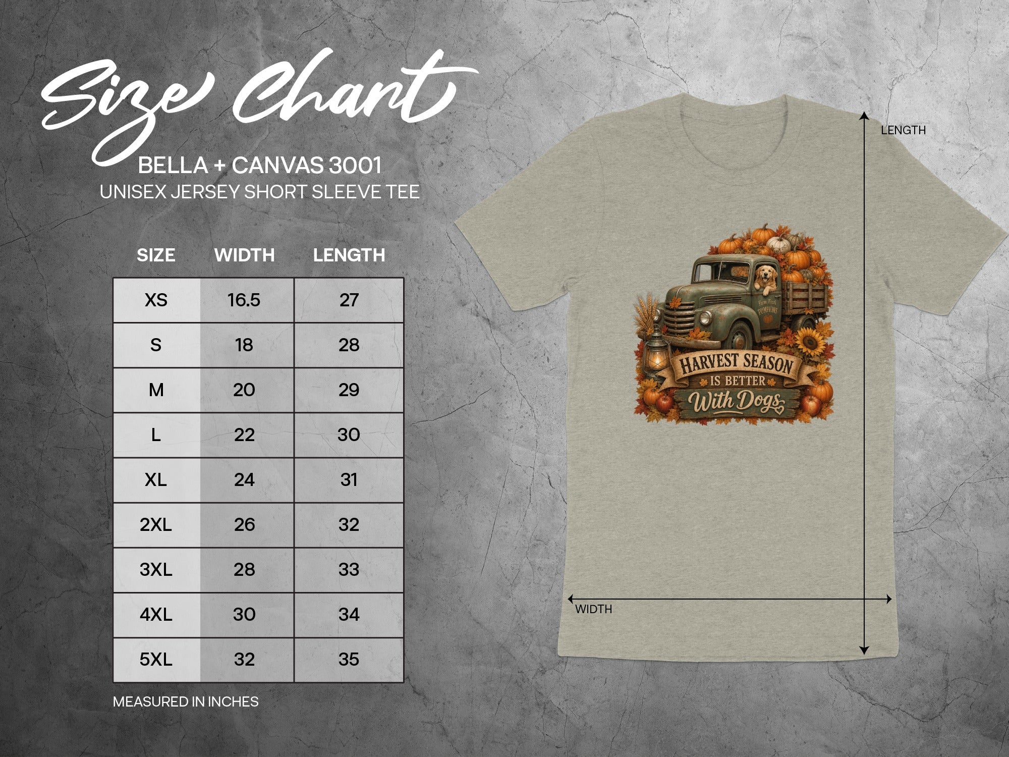 BELLA + CANVAS 3001 size chart with unisex jersey short sleeve tee measurements.