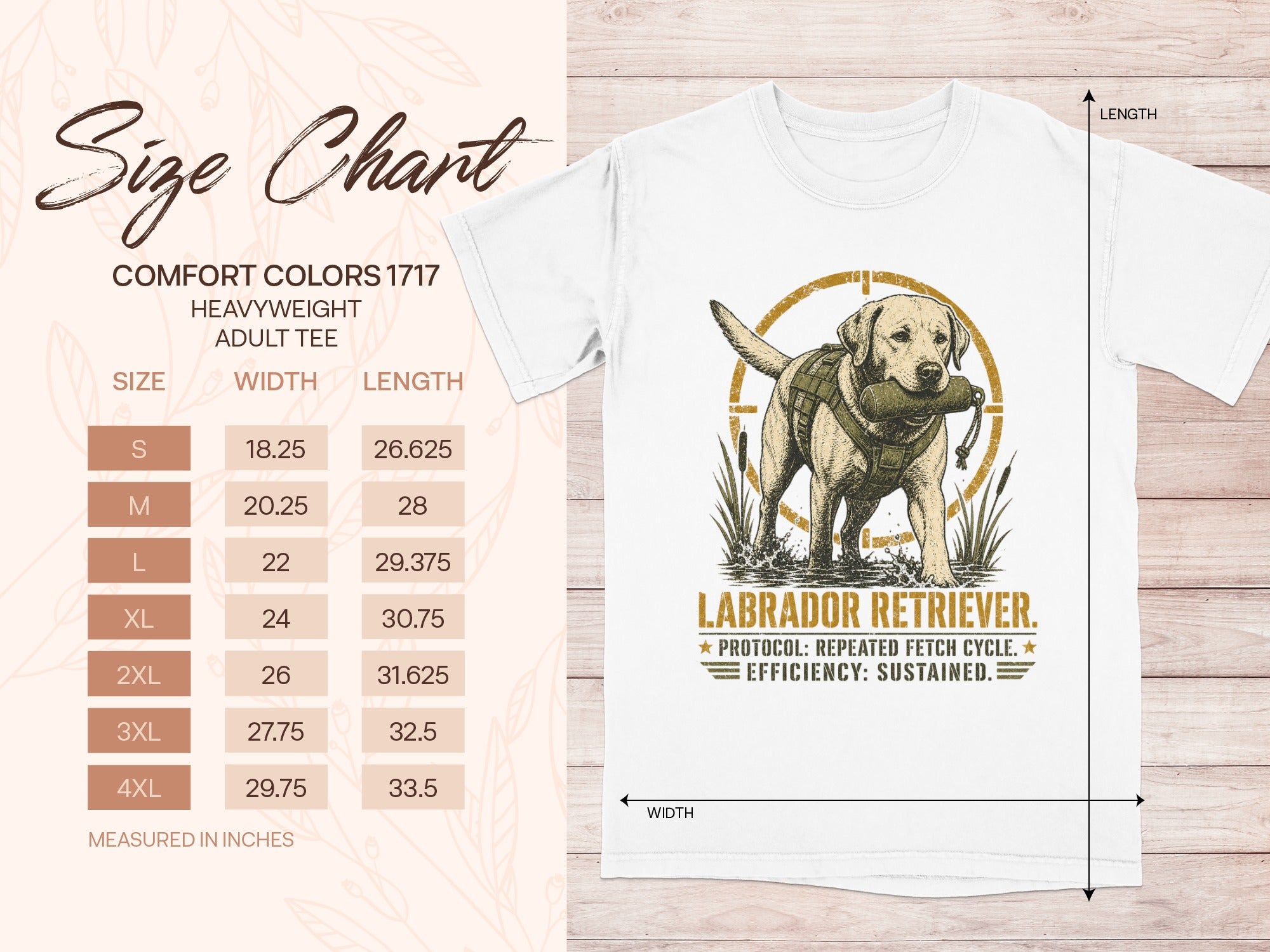 Size chart with Labrador Retriever graphic. Comfort Colors 1717 adult tee.