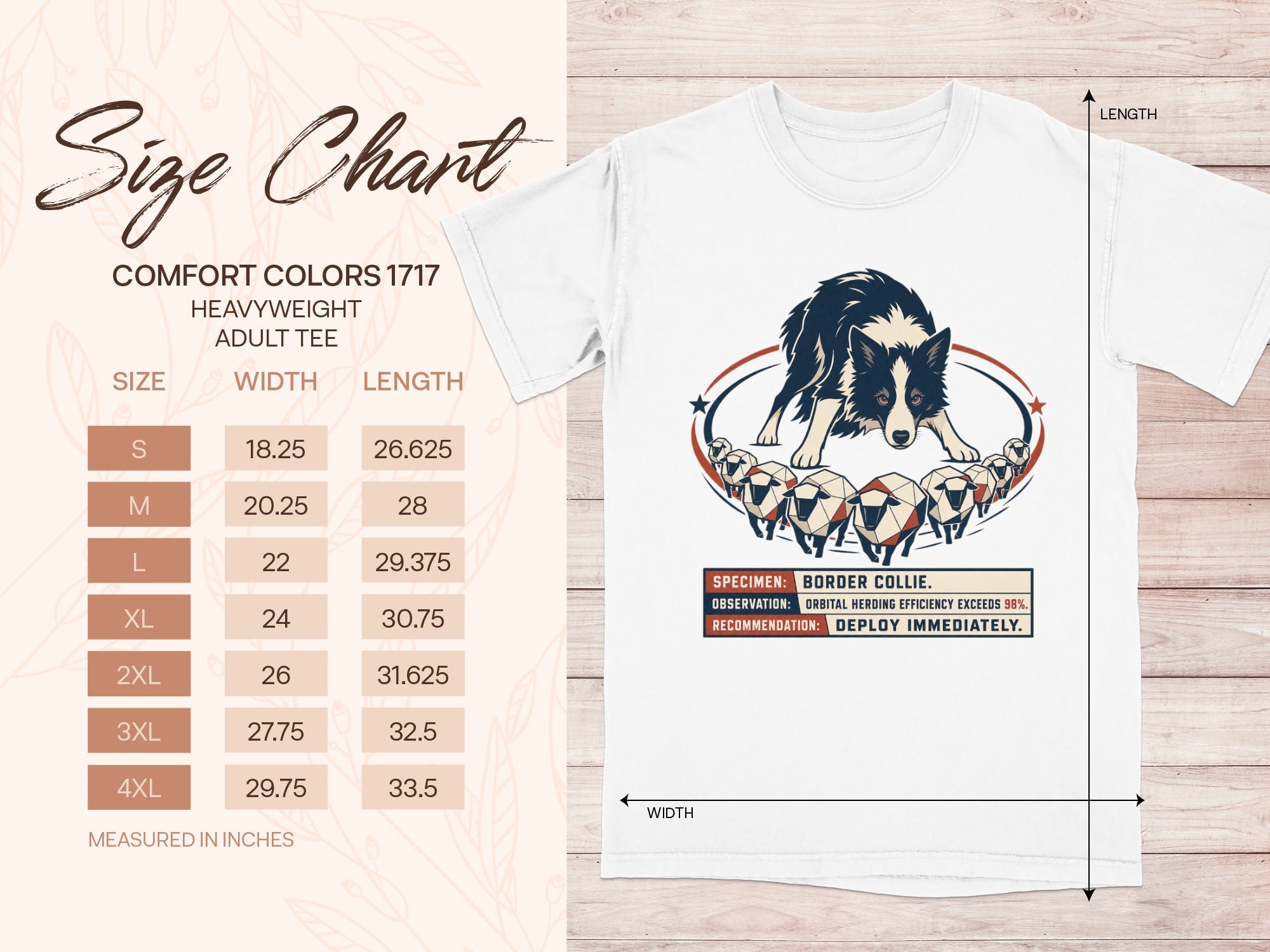 Comfort Colors 1717 heavyweight adult tee size chart with Border Collie graphic.